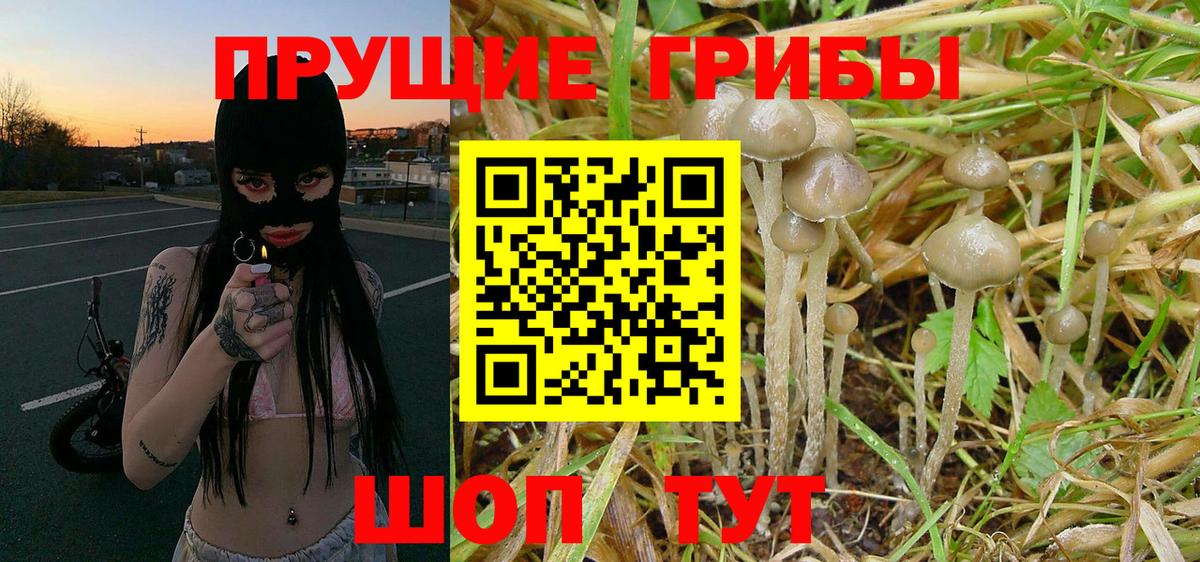 закладка  Вход с VPN  Йошкар-Ола  Галлюциногенные грибы MAGIC MUSHROOMS 