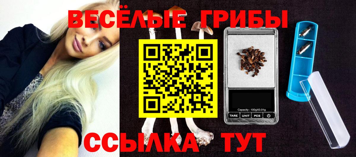 Йошкар-Ола  МДМА  ЭКСТАЗИ  ГАШИШ  NBOMe  Меф МЯУ МЯУ кристаллы  Вход с VPN  Марихуана 