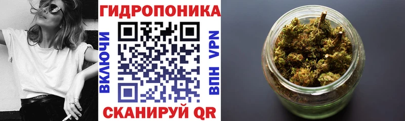 купить  сайты  Йошкар-Ола  Бошки Шишки Amnesia 